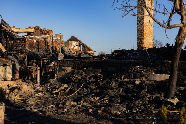 Reliable Content Restoration contractor in Tomball, TX by Fire Damage Flint